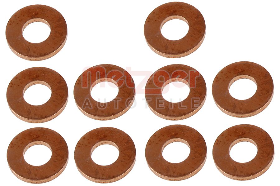 Brandplaatjes, injectiesysteem Metzger 0873102