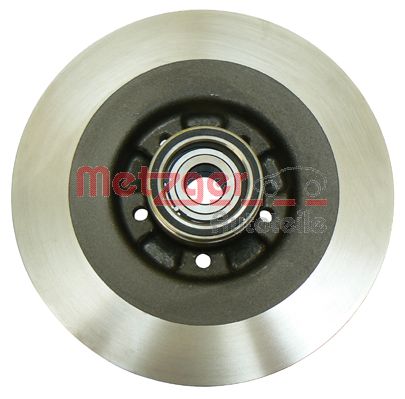 Metzger Remschijven 6110058