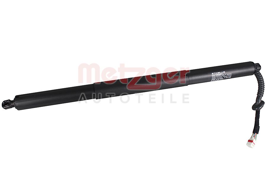 Elektromotor, achterklep Metzger 2115061