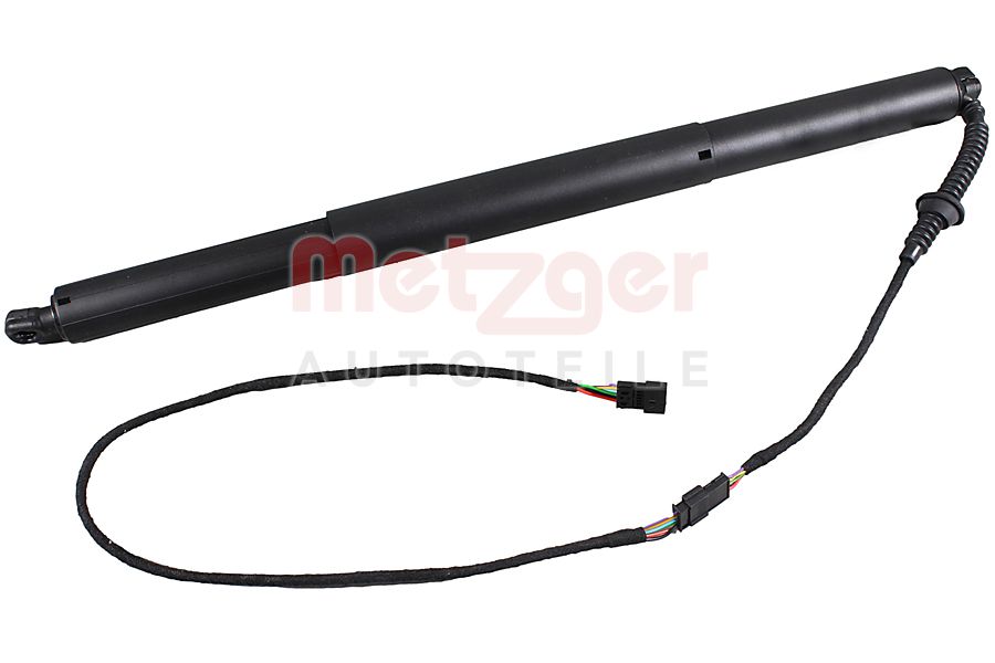 Elektromotor, achterklep Metzger 2115070