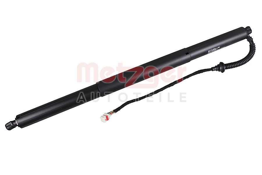 Elektromotor, achterklep Metzger 2115076