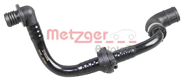 Slangen Metzger 2180006