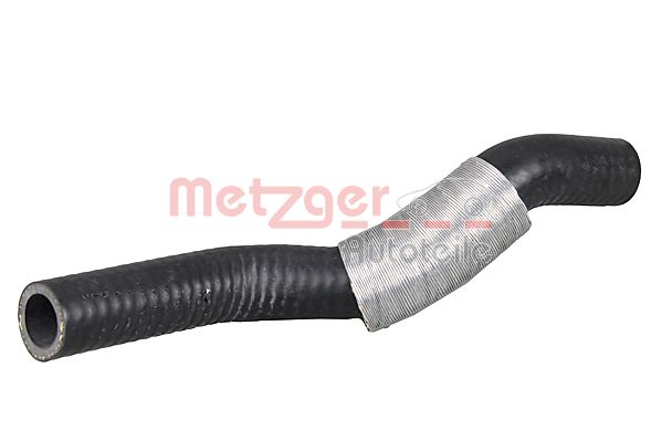 Slangen Metzger 2400673