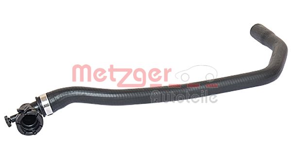 Slangen Metzger 2420300