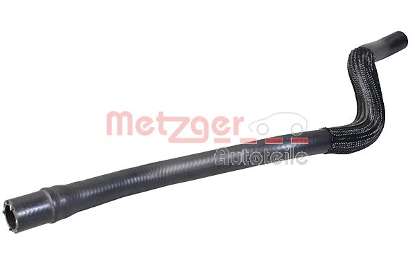 Slangen Metzger 2421446