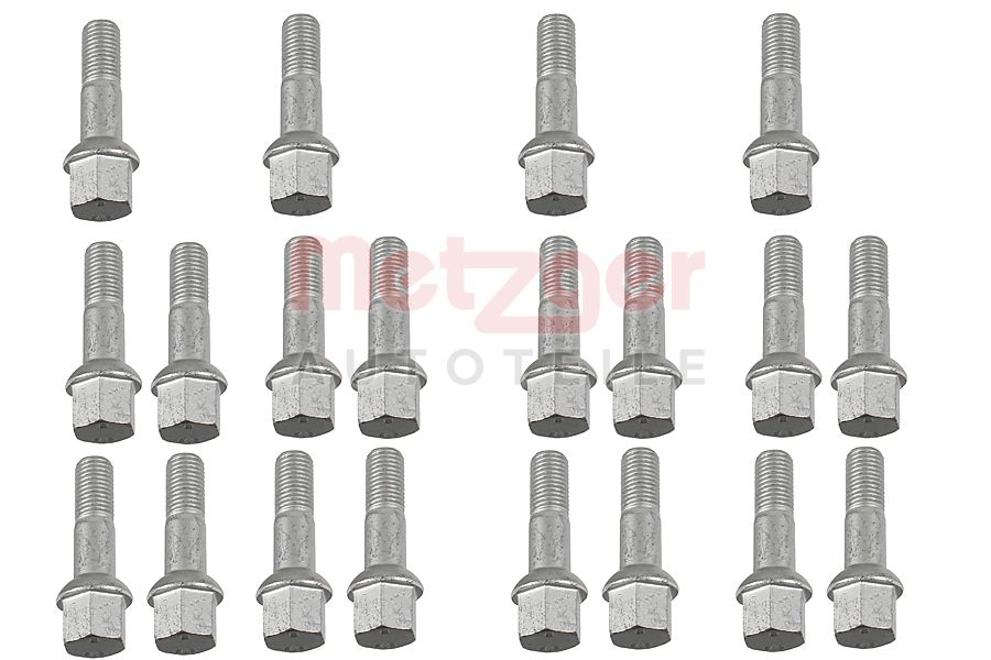 Wielschroef Metzger 6320014