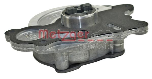 Metzger Vacuumpomp 8010057