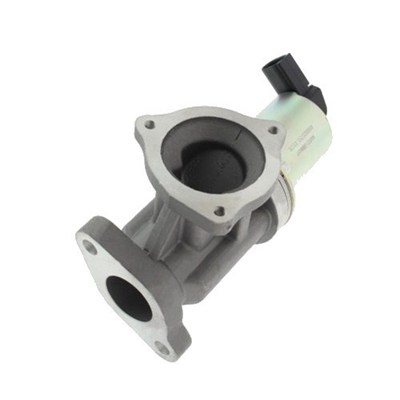 EGR-klep Magneti Marelli 571822112012