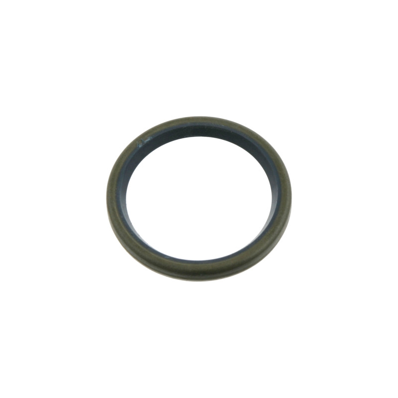 Dichtring fuseepen Febi Bilstein 02540
