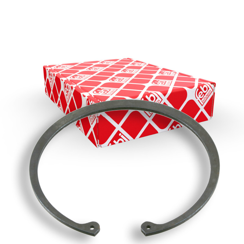 Borgring Febi Bilstein 10463