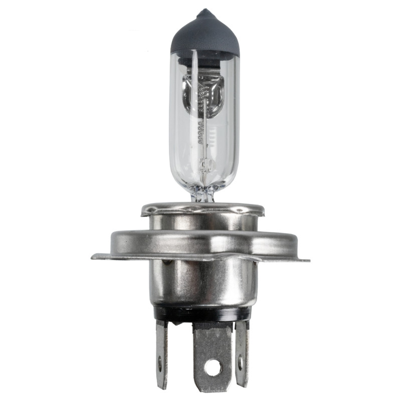 Gloeilamp, koplamp Febi Bilstein 173281