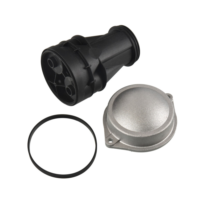 Carter ontluchtingsfilters Febi Bilstein 174319