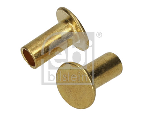 Spreidniet, trommelremvoering Febi Bilstein 196409