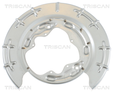 Plaat Triscan 8125 18205