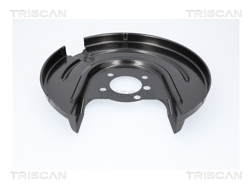 Dekplaat, remschijf Triscan 8125 29287