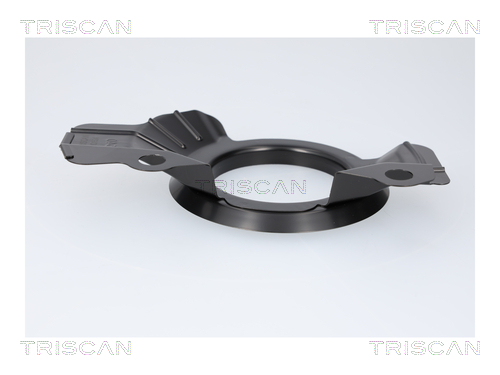 Dekplaat, remschijf Triscan 8125 43113