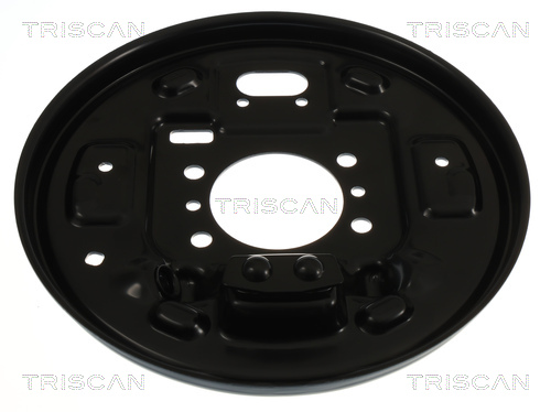 Dekplaat, remschijf Triscan 8125 43213