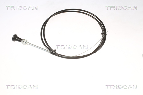 Triscan Carburateur 8140 91002