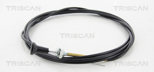 Carburateur Triscan 8140 91005