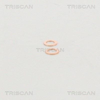 Triscan Remslang 8150 29132
