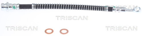 Remslang Triscan 8150 43181