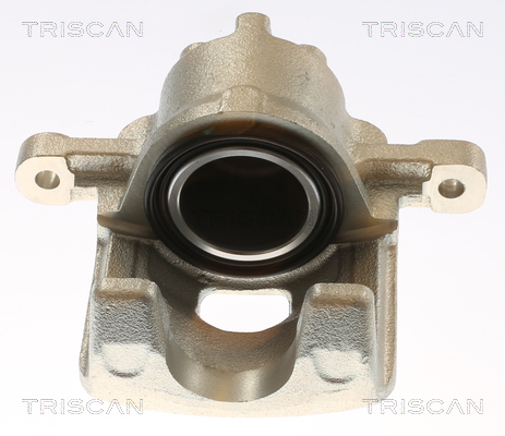 Remzadel/remklauw Triscan 8175 68104