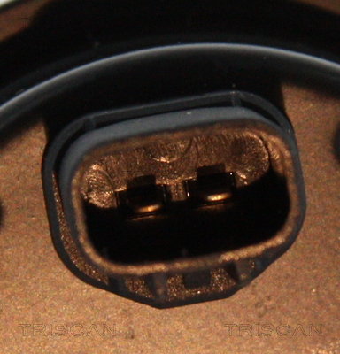 Triscan ABS sensor 8180 13201