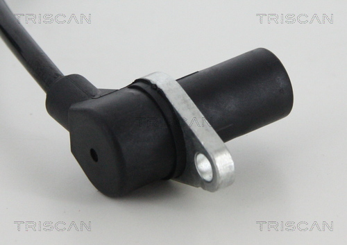 Triscan ABS sensor 8180 29255