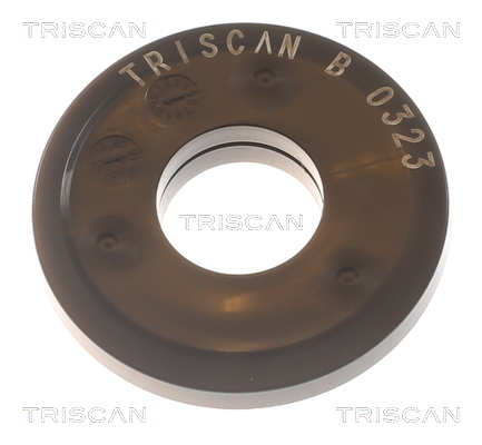 Triscan Veerpootlager & rubber 8500 13929