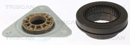 Triscan Veerpootlager & rubber 8500 25923