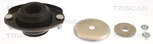 Triscan Veerpootlager & rubber 8500 42913