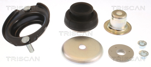Triscan Veerpootlager & rubber 8500 42913