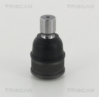 Fuseekogel Triscan 8500 50546