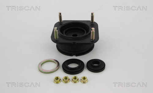 Triscan Veerpootlager & rubber 8500 50906