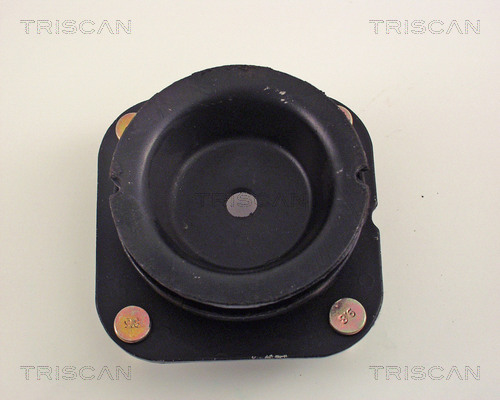 Triscan Veerpootlager & rubber 8500 50906