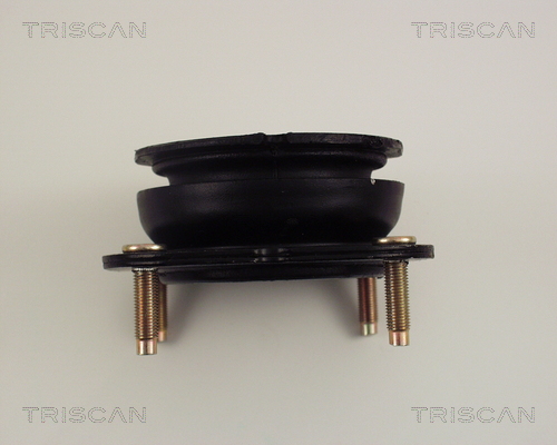 Triscan Veerpootlager & rubber 8500 50906