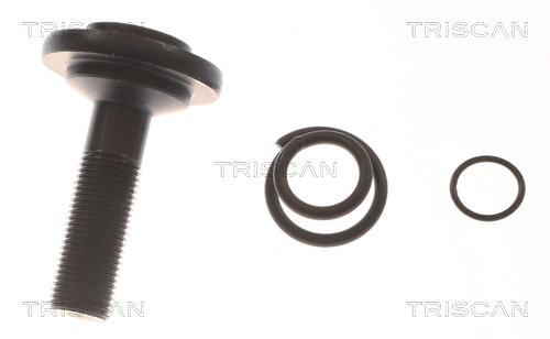 Triscan Aandrijfas 8540 11589