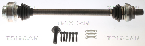 Aandrijfas Triscan 8540 295066