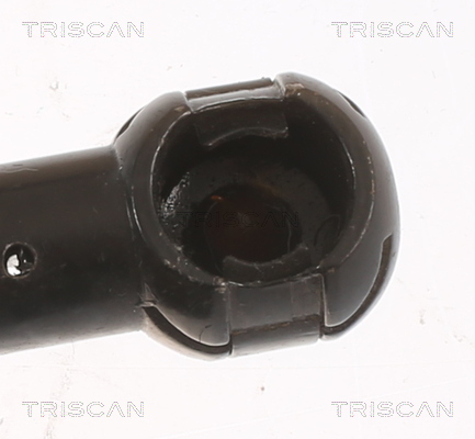 Triscan Gasveer, kofferruimte 8710 11354