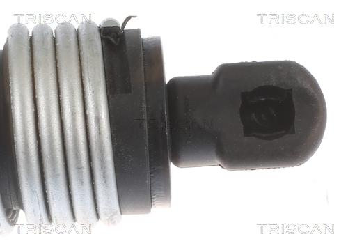 Triscan Gasveer, kofferruimte 8710 11357
