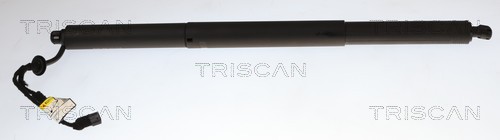 Gasveer, kofferruimte Triscan 8710 11370