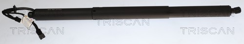 Gasveer, kofferruimte Triscan 8710 11371