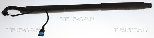 Gasveer, kofferruimte Triscan 8710 11374