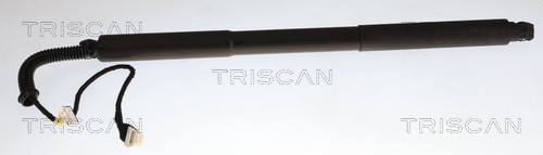 Gasveer, kofferruimte Triscan 8710 11375