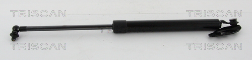 Gasveer, kofferruimte Triscan 8710 13290