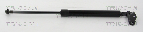 Gasveer, kofferruimte Triscan 8710 13291