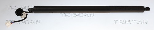 Gasveer, kofferruimte Triscan 8710 14301