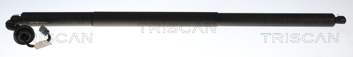 Gasveer, kofferruimte Triscan 8710 16315