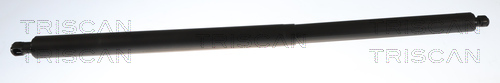 Gasveer, kofferruimte Triscan 8710 16316