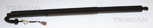 Gasveer, kofferruimte Triscan 8710 16318
